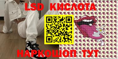 индика Новодвинск