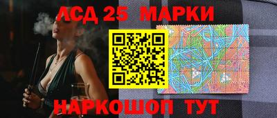 индика Новодвинск
