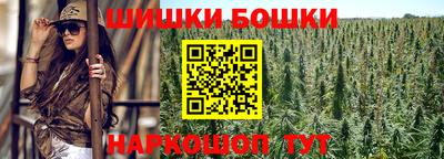 индика Новодвинск