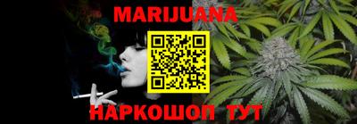 индика Новодвинск
