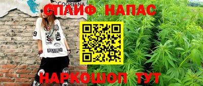 индика Новодвинск