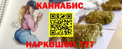 индика Новодвинск