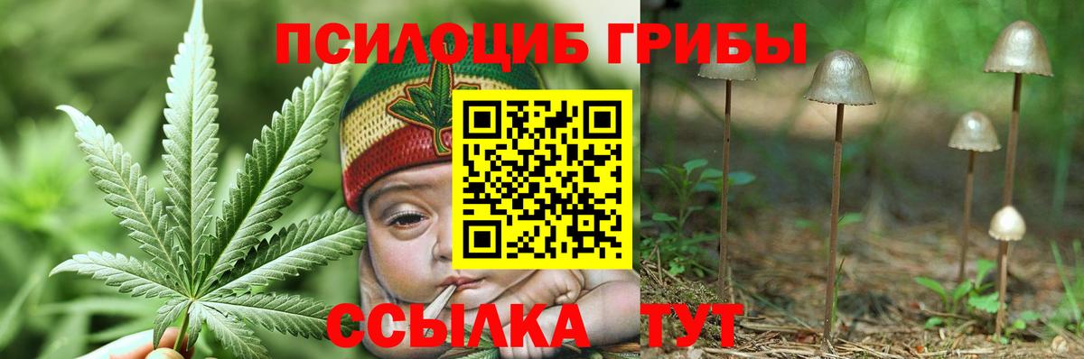 Родники  Галлюциногенные грибы мицелий  Вход с VPN  Галлюциногенные грибы Psilocybe 